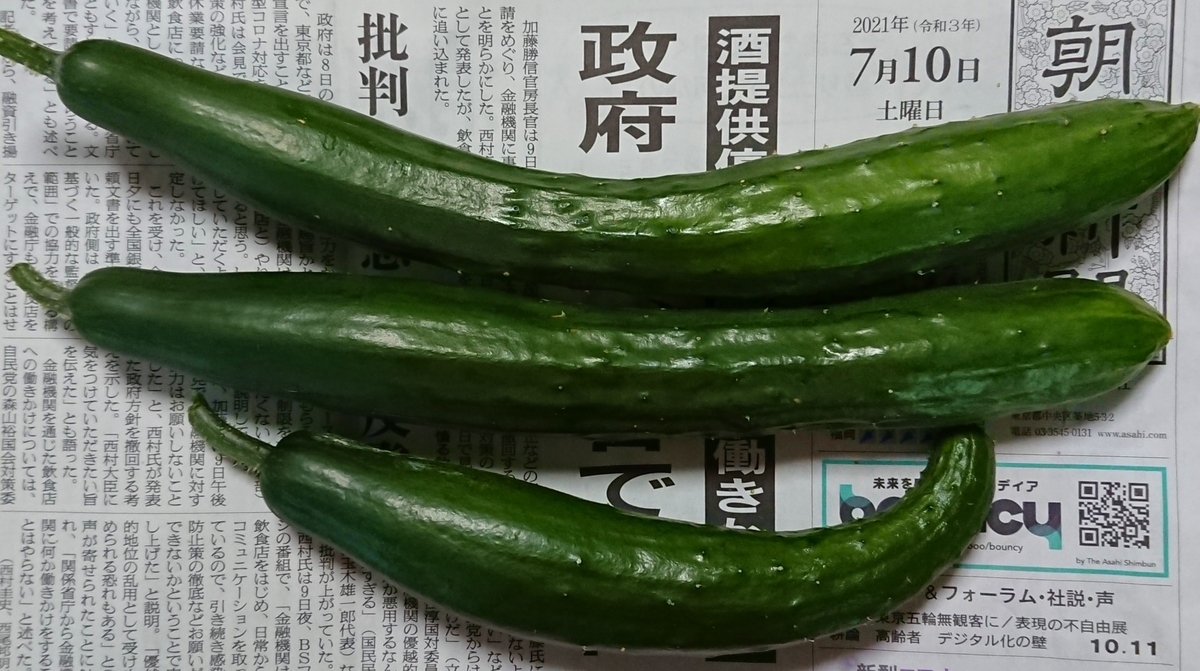 f:id:hibitanoshime:20210713134840j:plain