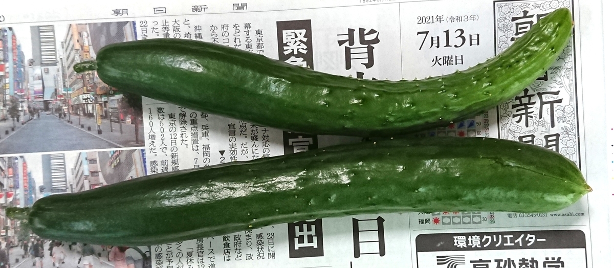 f:id:hibitanoshime:20210713134858j:plain