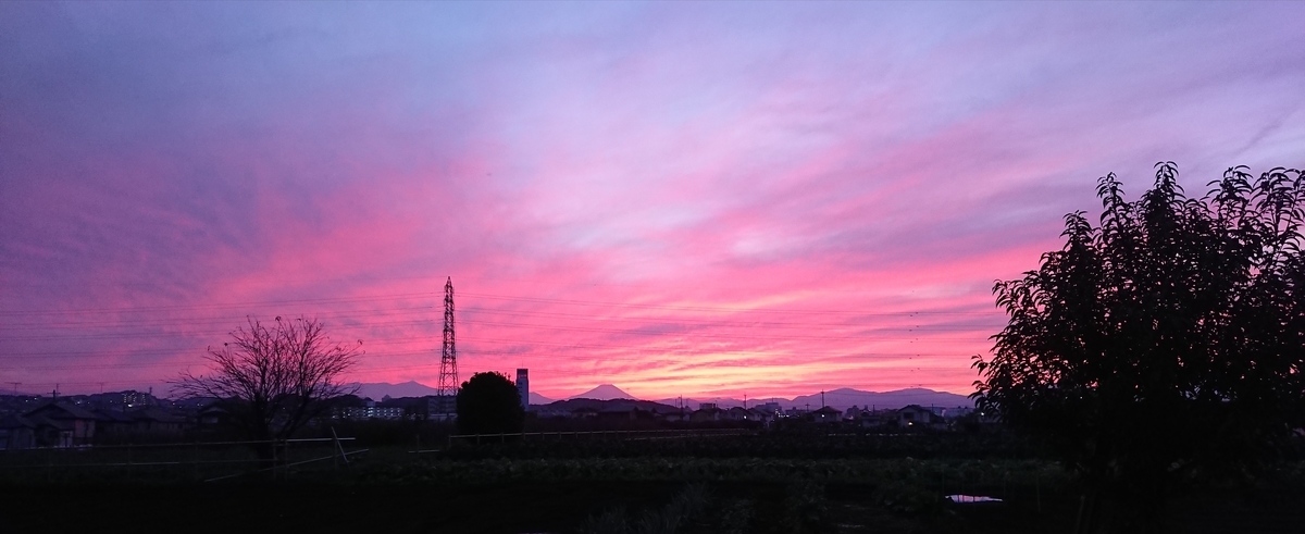 f:id:hibitanoshime:20211119175945j:plain