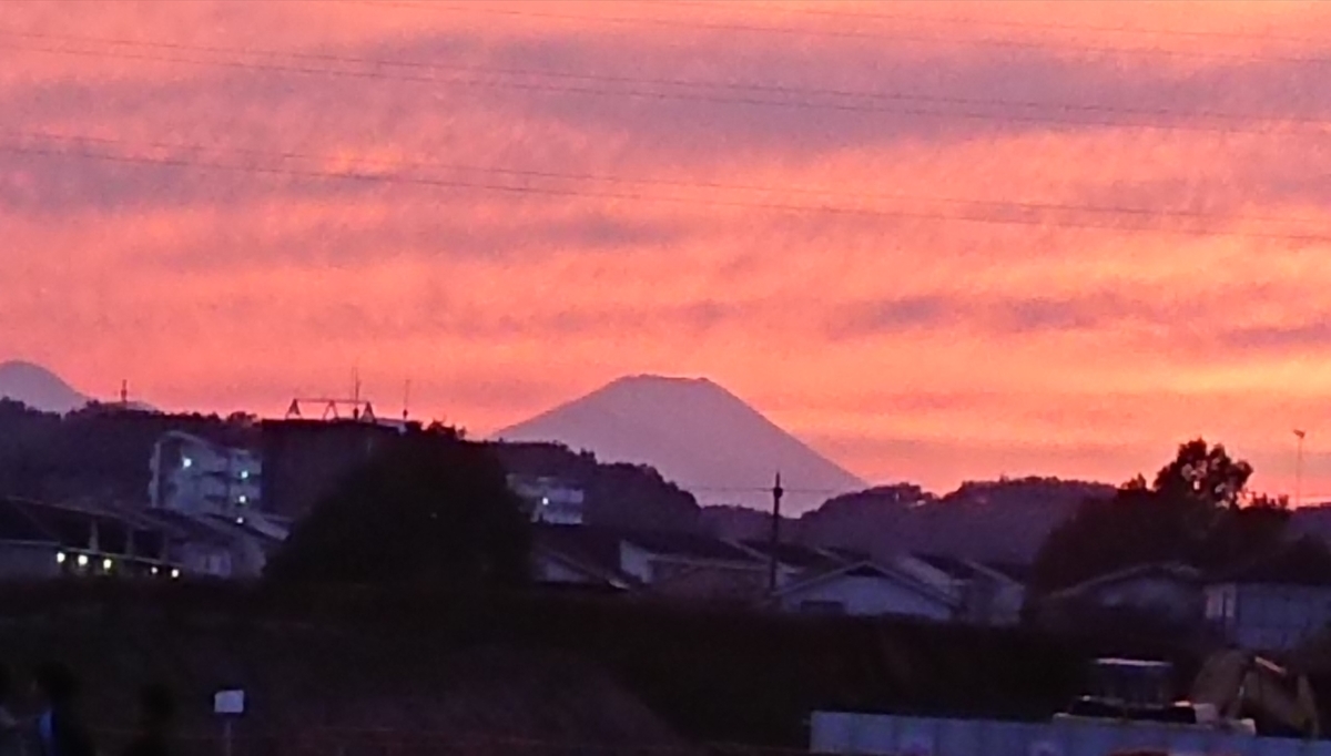 f:id:hibitanoshime:20211119180016j:plain