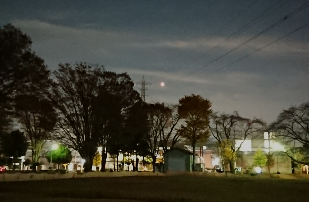 f:id:hibitanoshime:20211119180402j:plain