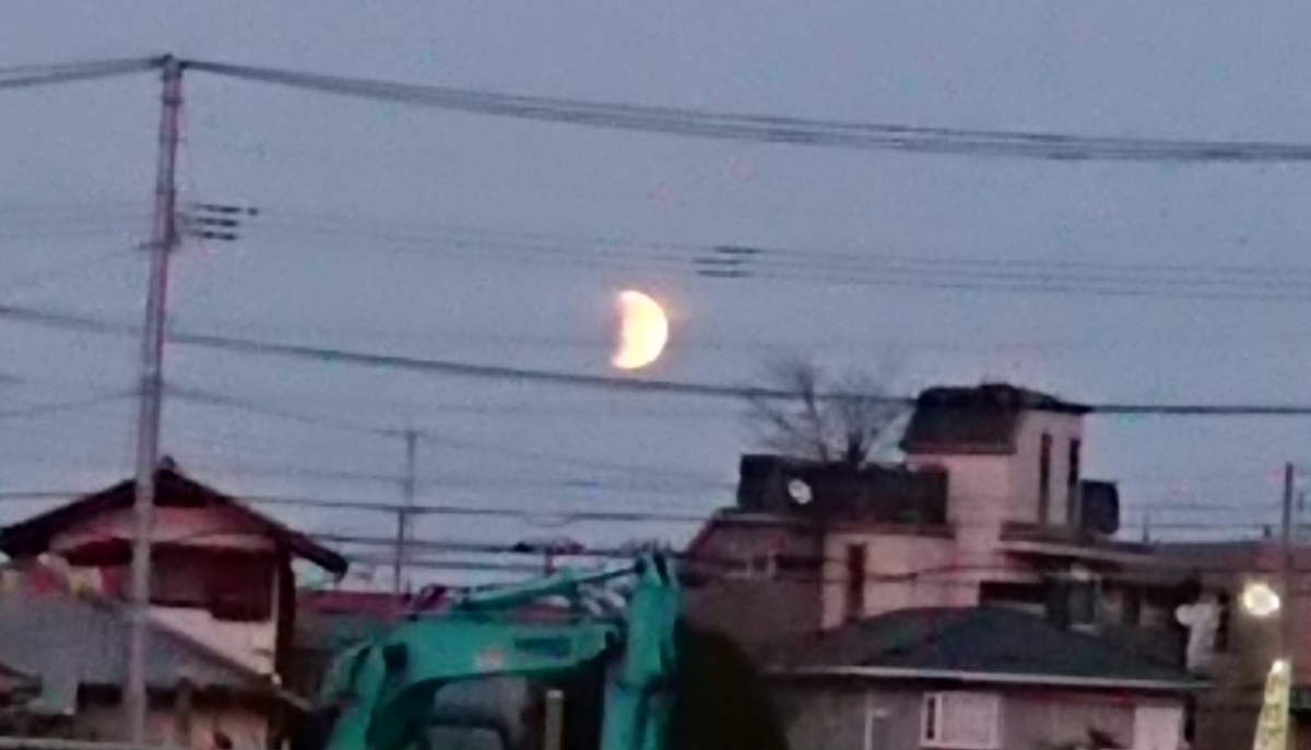 f:id:hibitanoshime:20211119180622j:plain