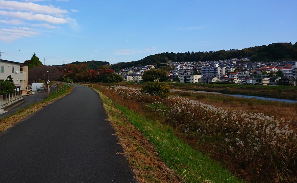 f:id:hibitanoshime:20211206180426j:plain