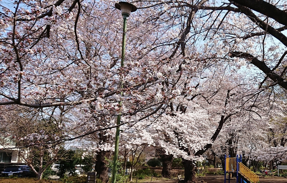 桜散る遅らすかこぬか雨 - 酒のある日々