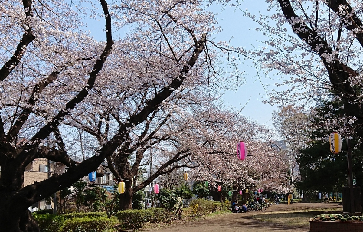 桜散る遅らすかこぬか雨 - 酒のある日々