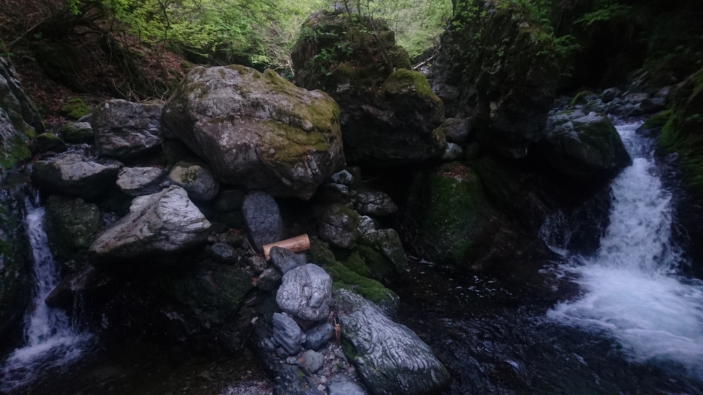 f:id:hibitoushi:20180608143018j:plain f:id:hibitoushi:20180608143018j:plain