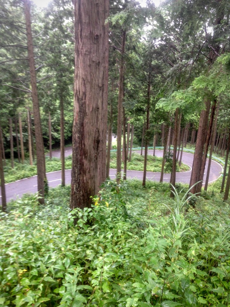 f:id:hiboma:20160828221322j:plain