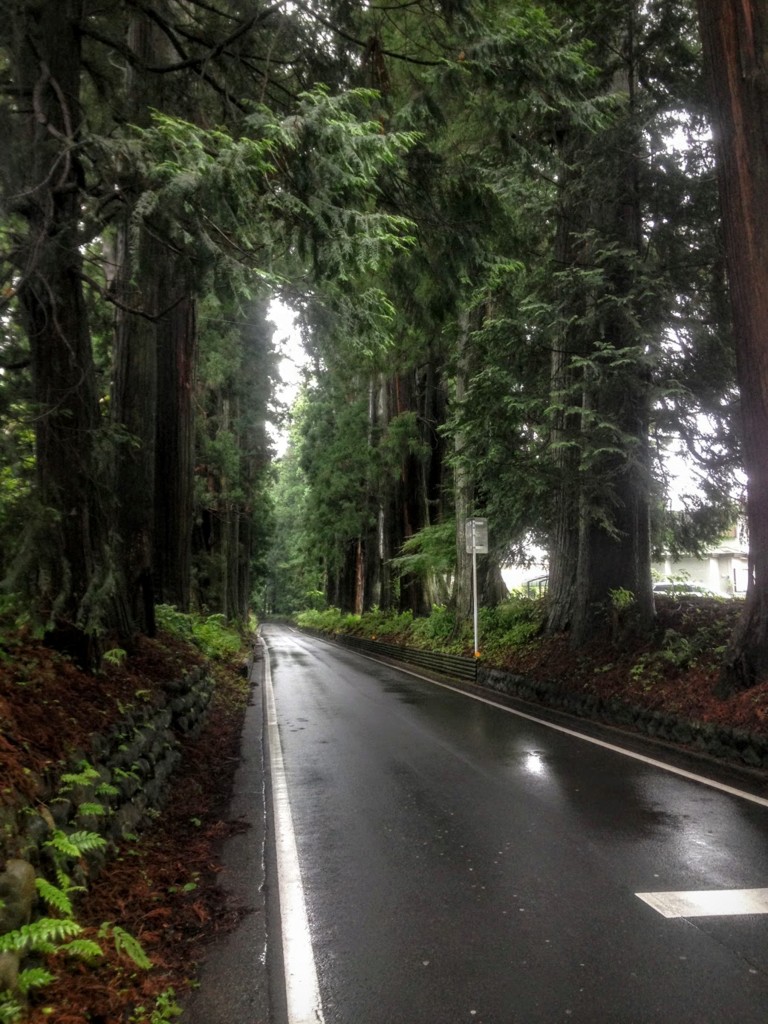 f:id:hiboma:20160828221345j:plain