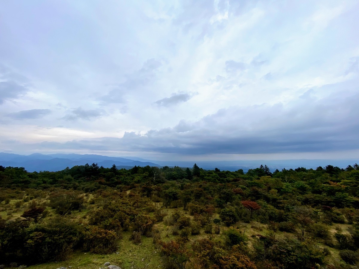 f:id:hiboma:20200922155011j:plain