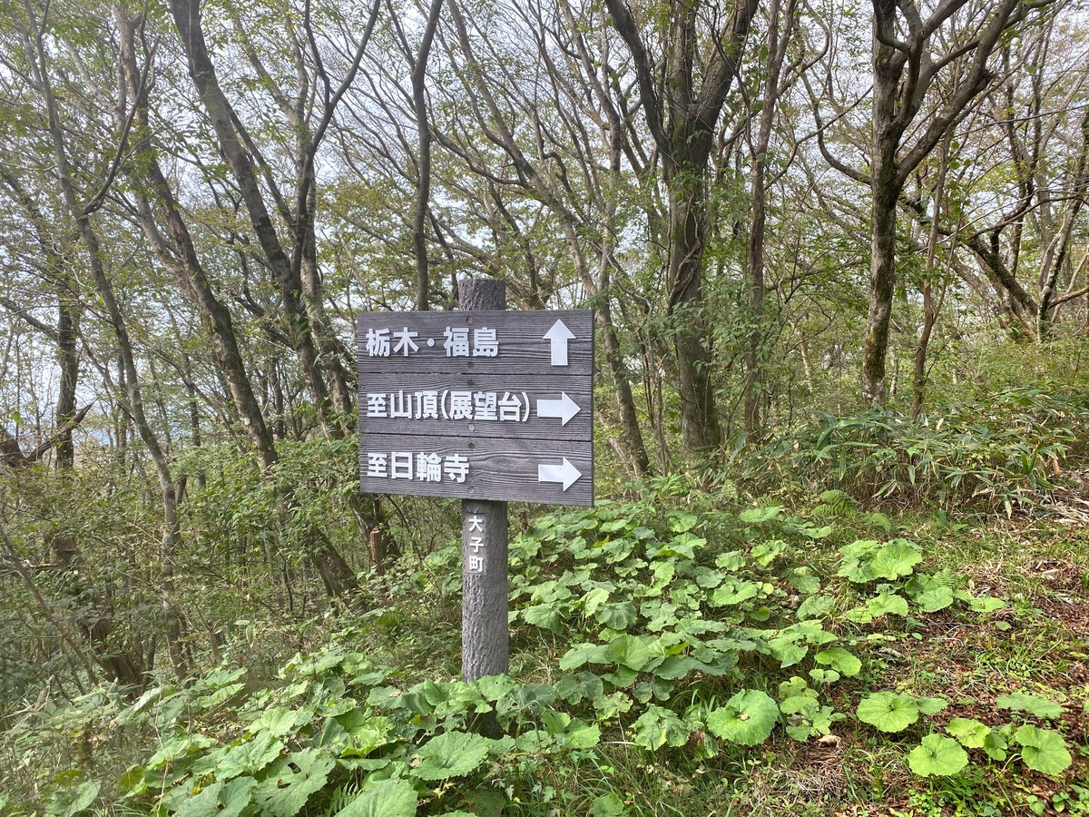 f:id:hiboma:20201003135502j:plain f:id:hiboma:20201003135502j:plain