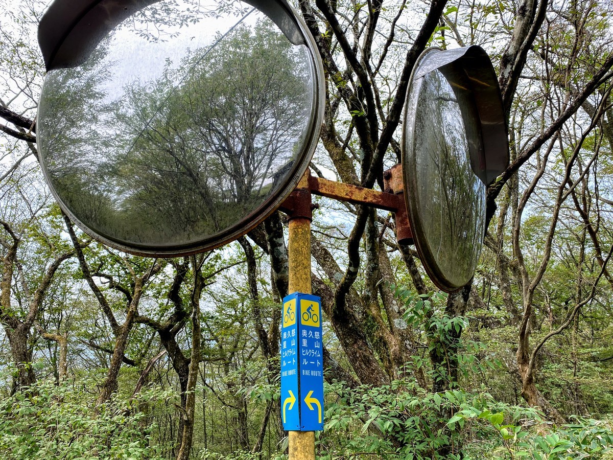 f:id:hiboma:20201003142323j:plain f:id:hiboma:20201003142323j:plain