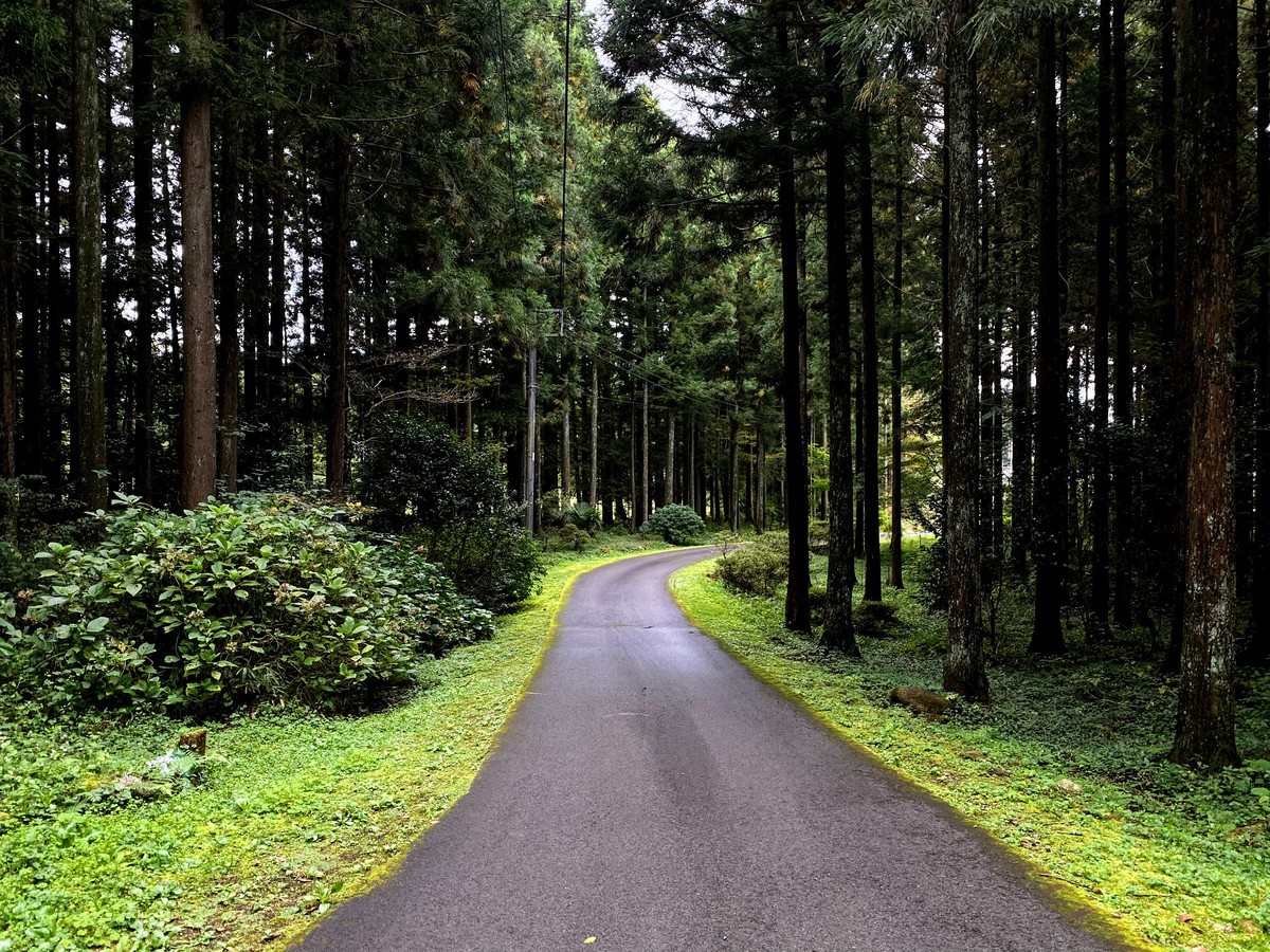 f:id:hiboma:20201018151051j:plain