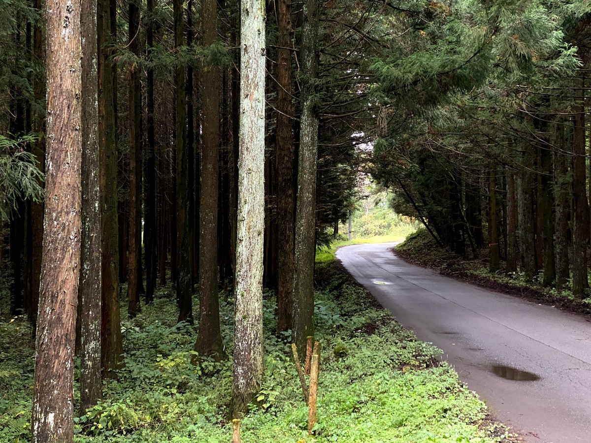 f:id:hiboma:20201018151115j:plain