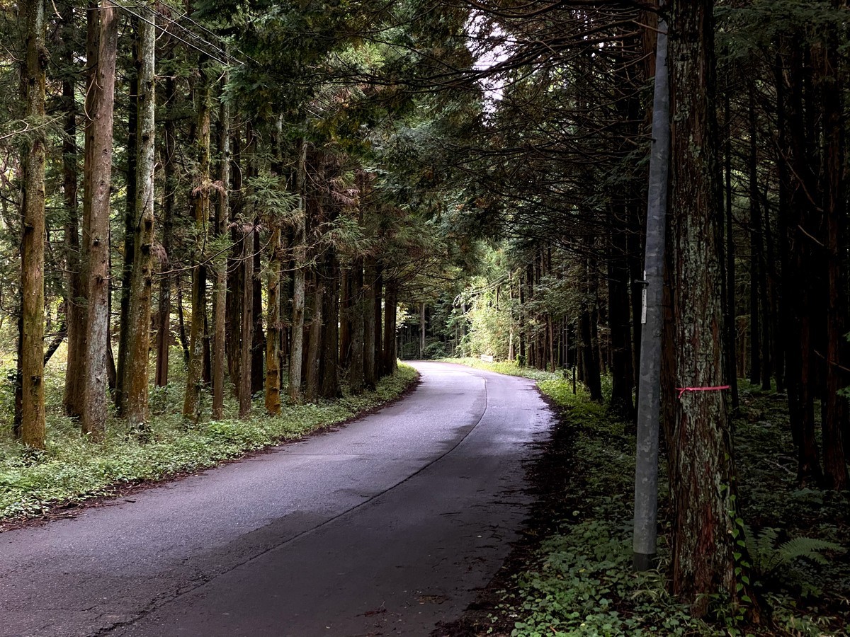 f:id:hiboma:20201018151127j:plain