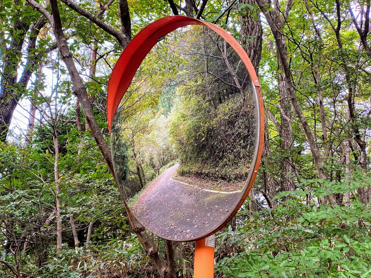 f:id:hiboma:20201018154346j:plain