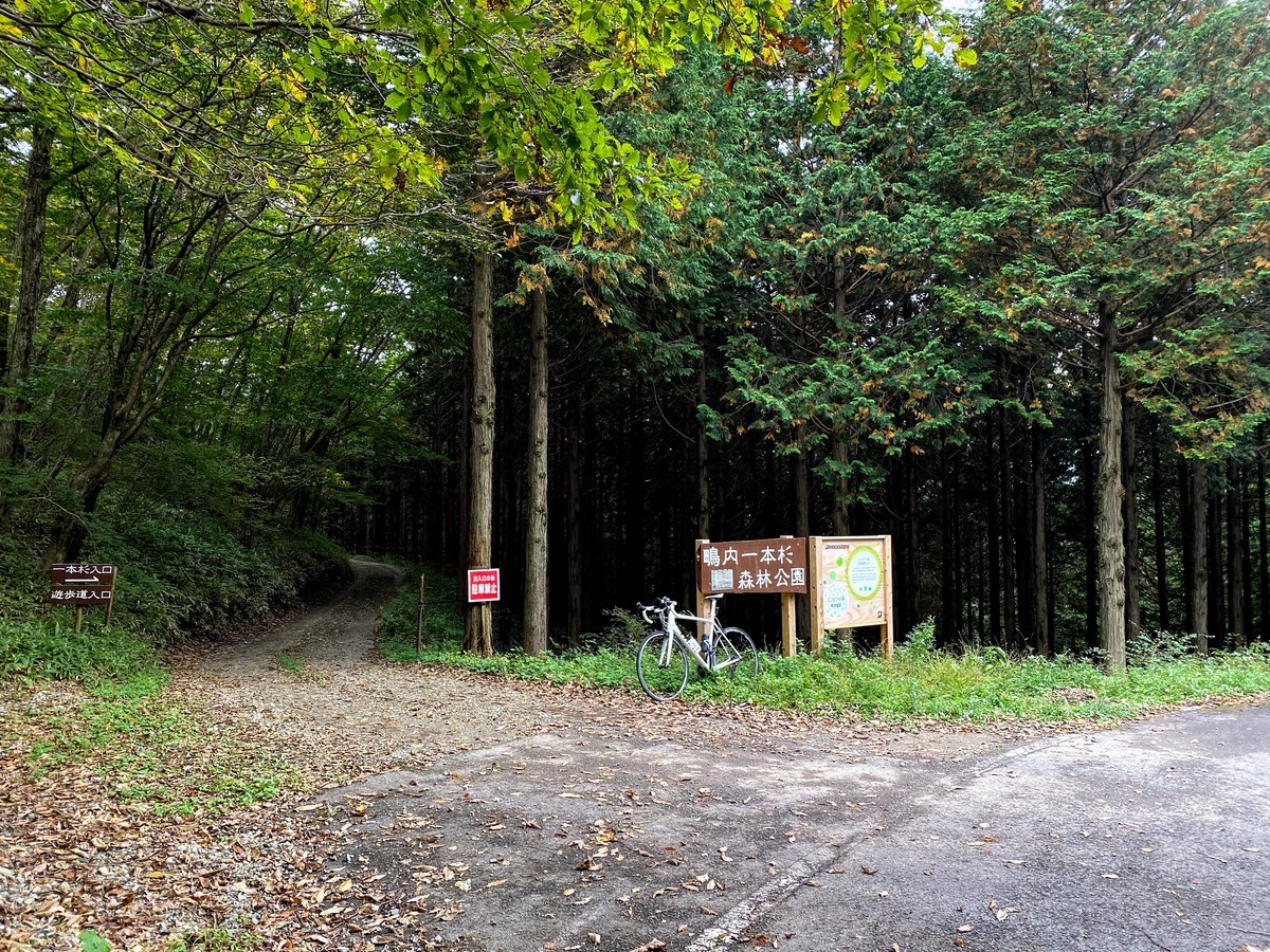 f:id:hiboma:20201018154354j:plain