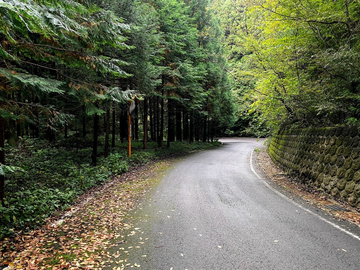 f:id:hiboma:20201018155424j:plain