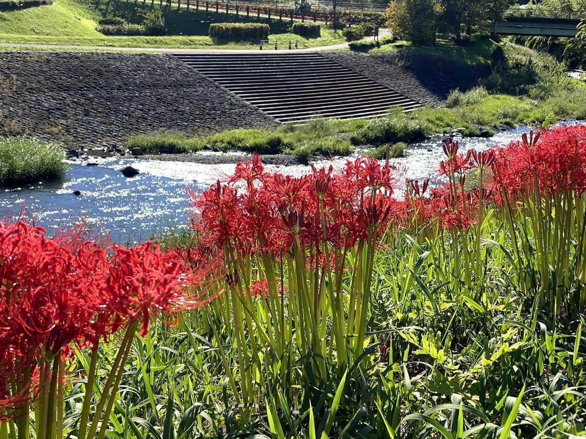 f:id:hiboma:20210919150538j:plain