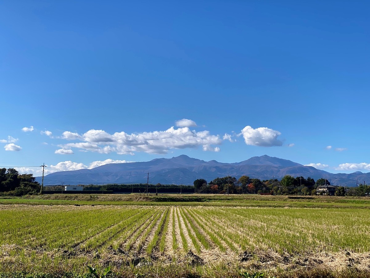 f:id:hiboma:20211106113457j:plain