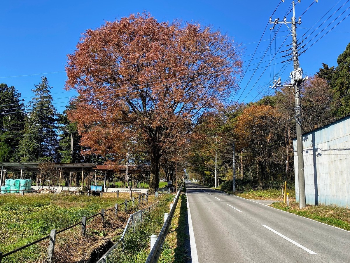 f:id:hiboma:20211106115547j:plain