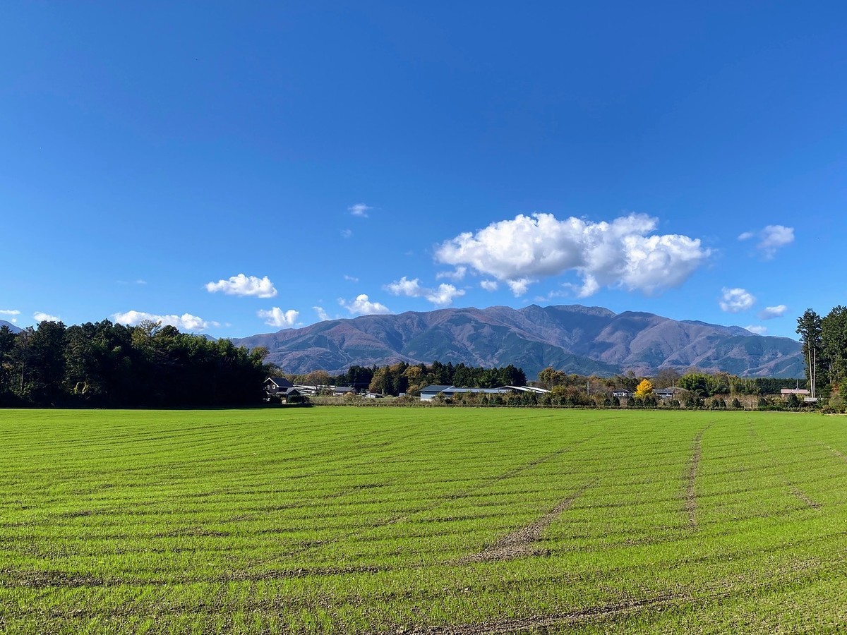 f:id:hiboma:20211106120138j:plain