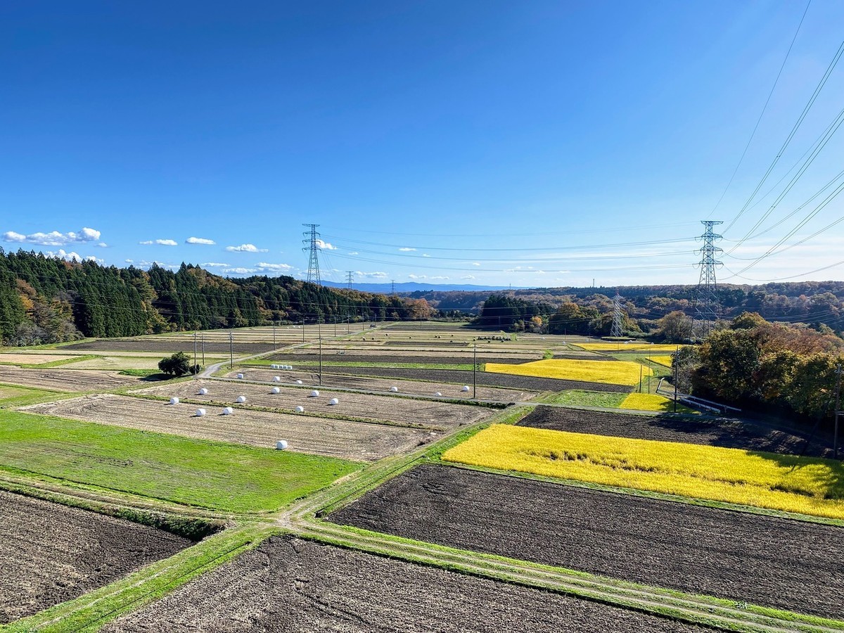 f:id:hiboma:20211106122210j:plain