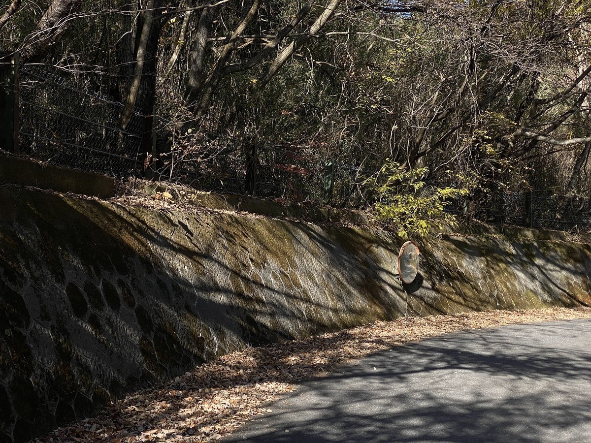 f:id:hiboma:20211106125056j:plain