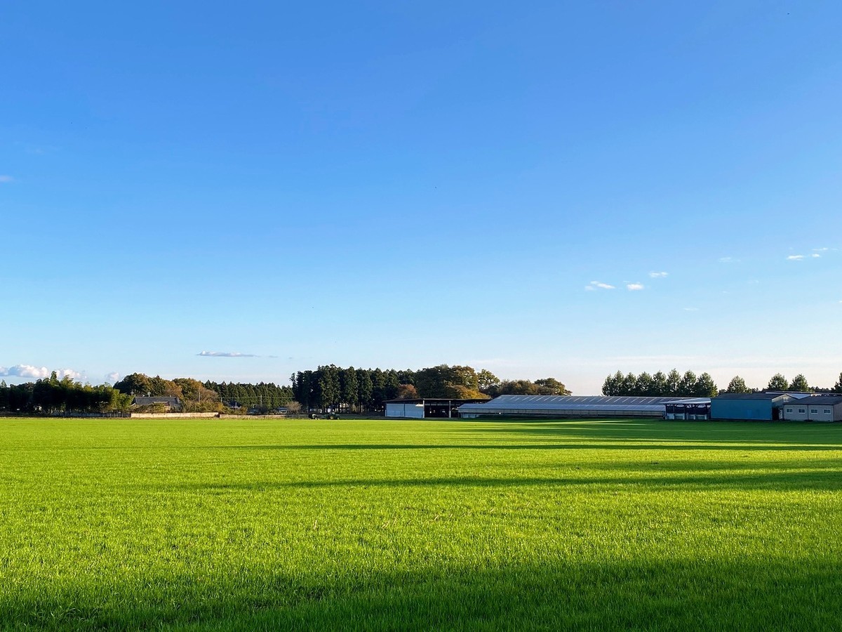 f:id:hiboma:20211106154347j:plain