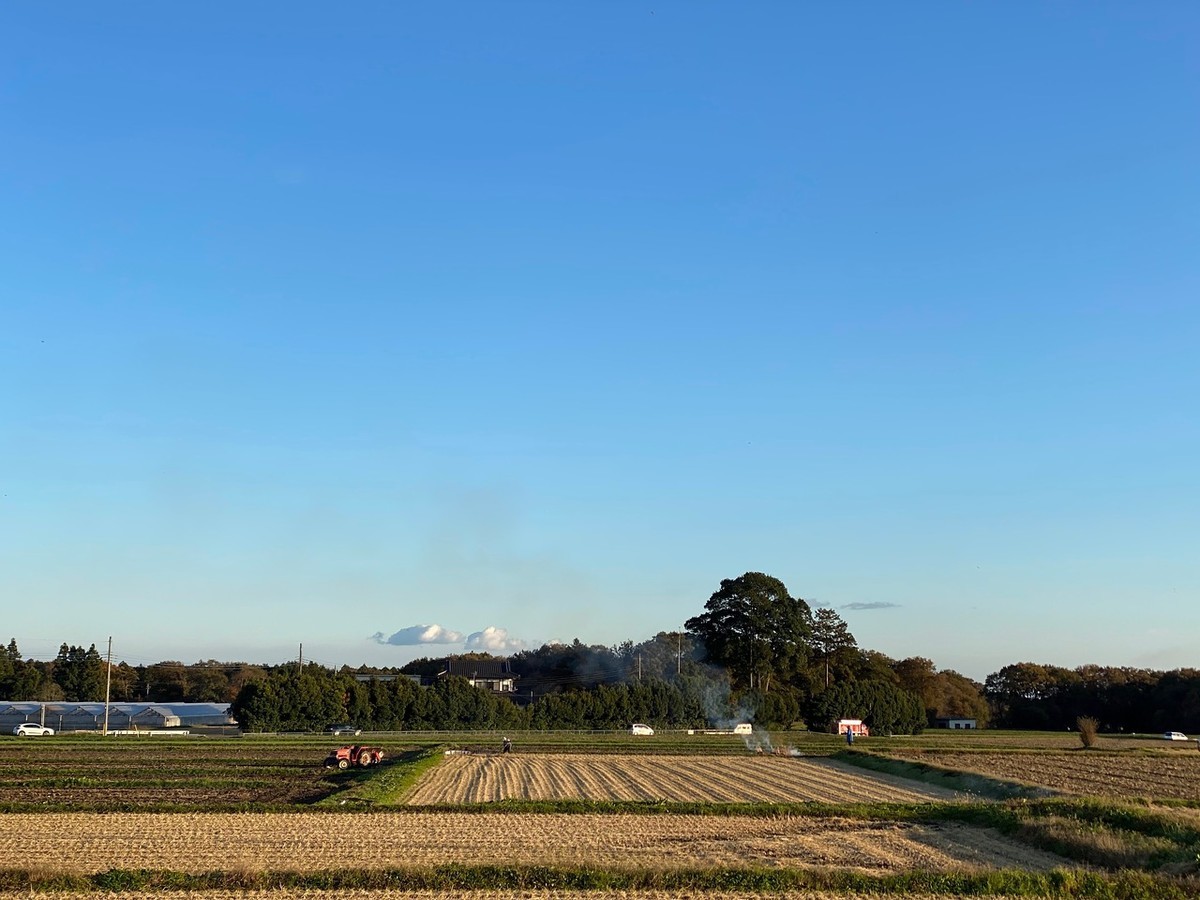 f:id:hiboma:20211106154942j:plain