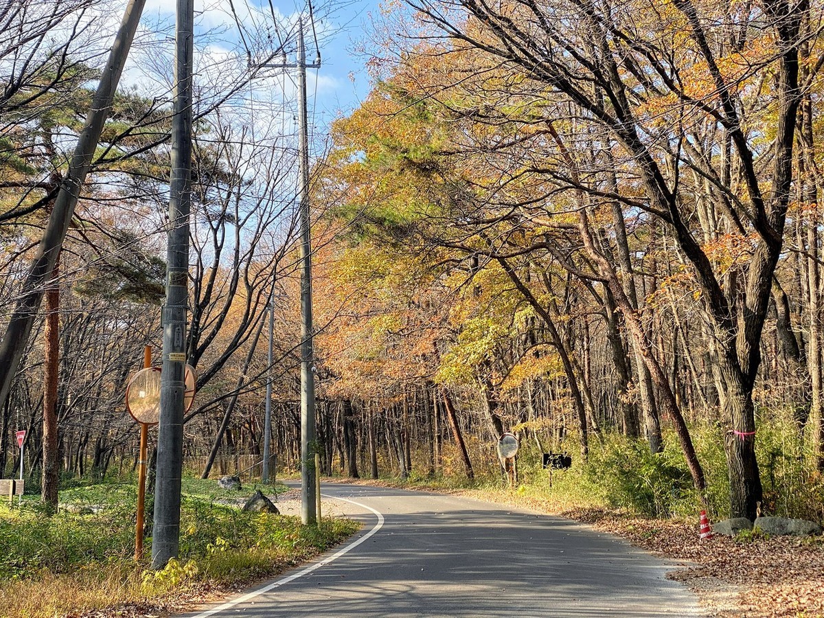 f:id:hiboma:20211120113912j:plain