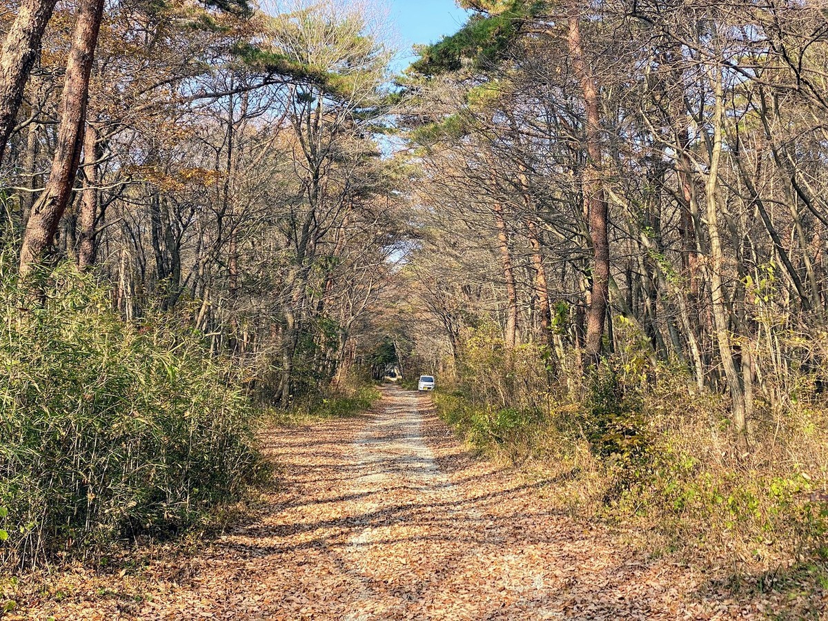 f:id:hiboma:20211120113941j:plain