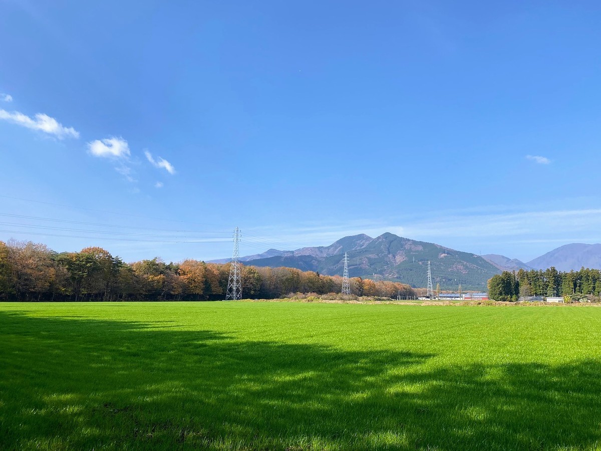 f:id:hiboma:20211120114550j:plain