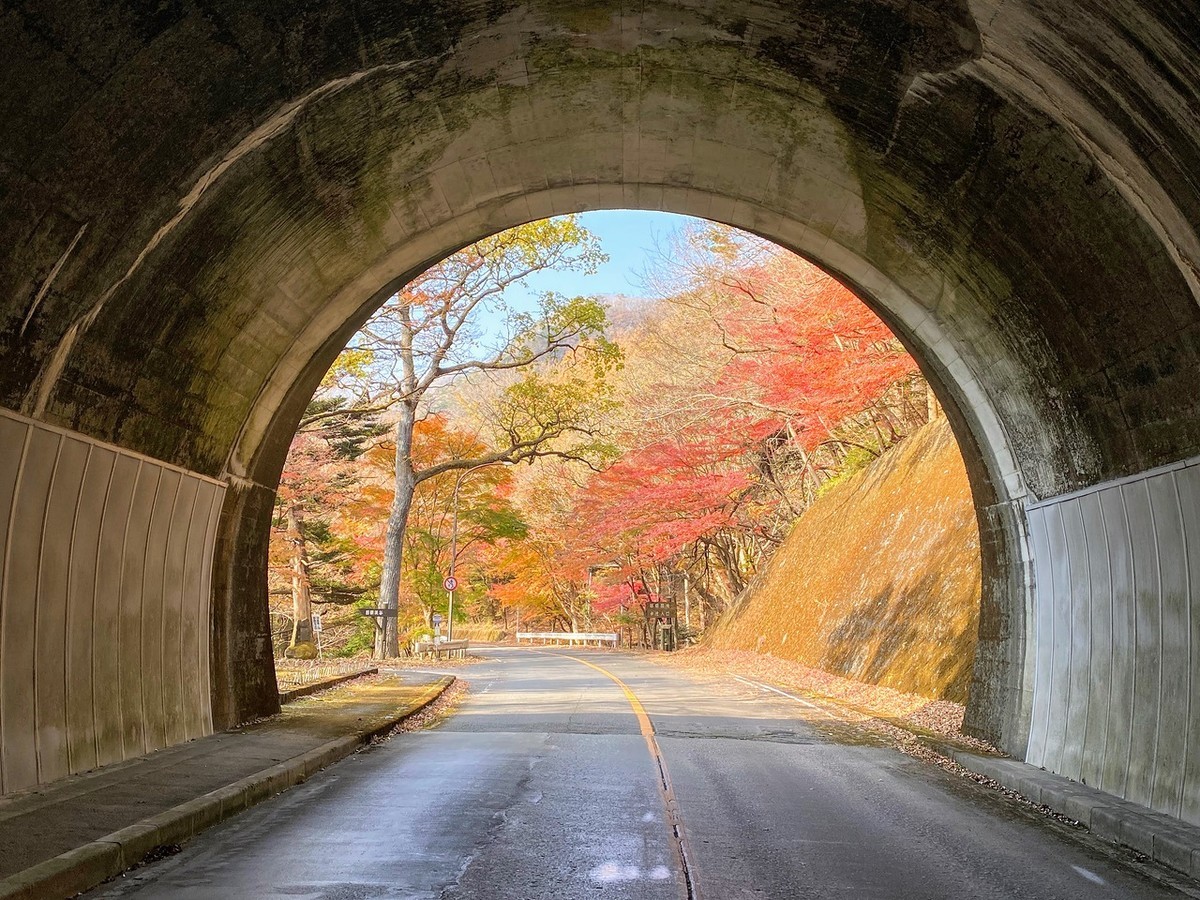 f:id:hiboma:20211120120725j:plain