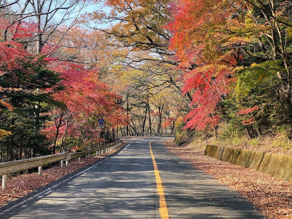 f:id:hiboma:20211120120759j:plain