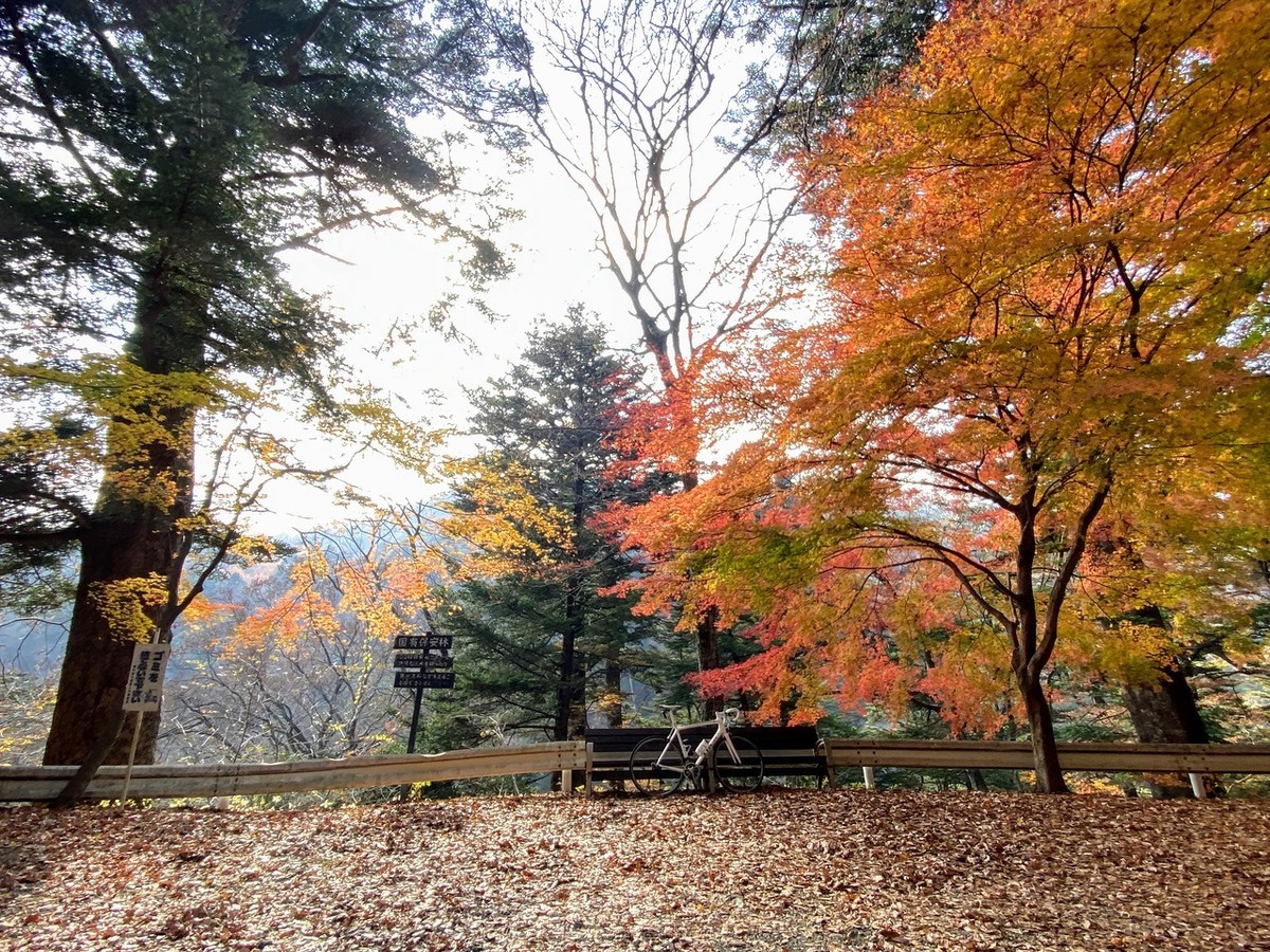 f:id:hiboma:20211120120928j:plain