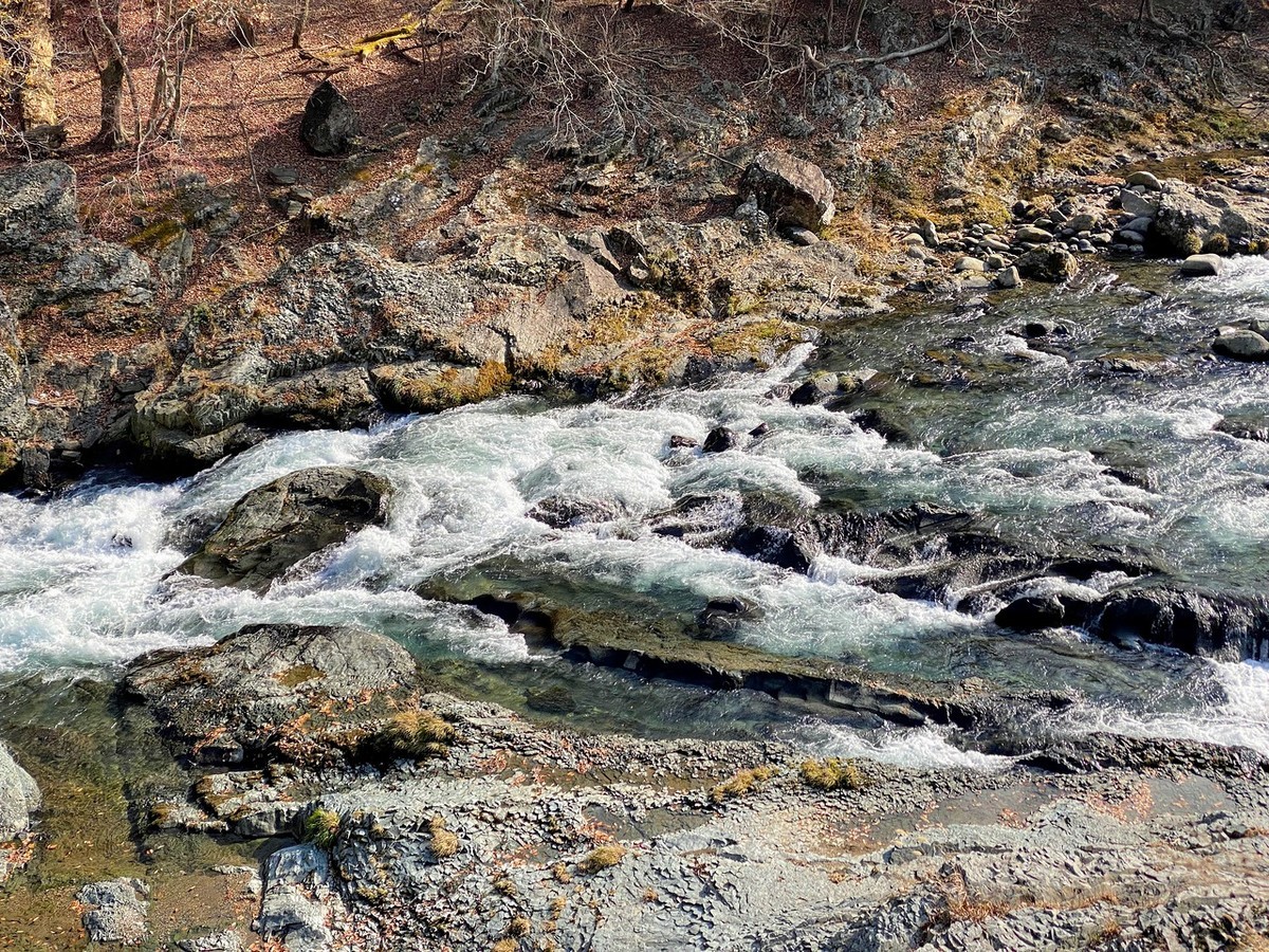 f:id:hiboma:20211120121953j:plain