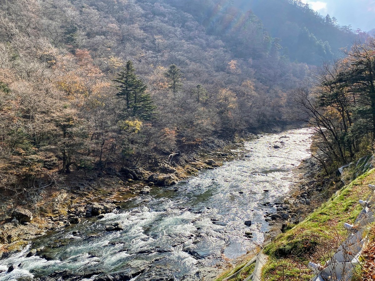 f:id:hiboma:20211120121957j:plain