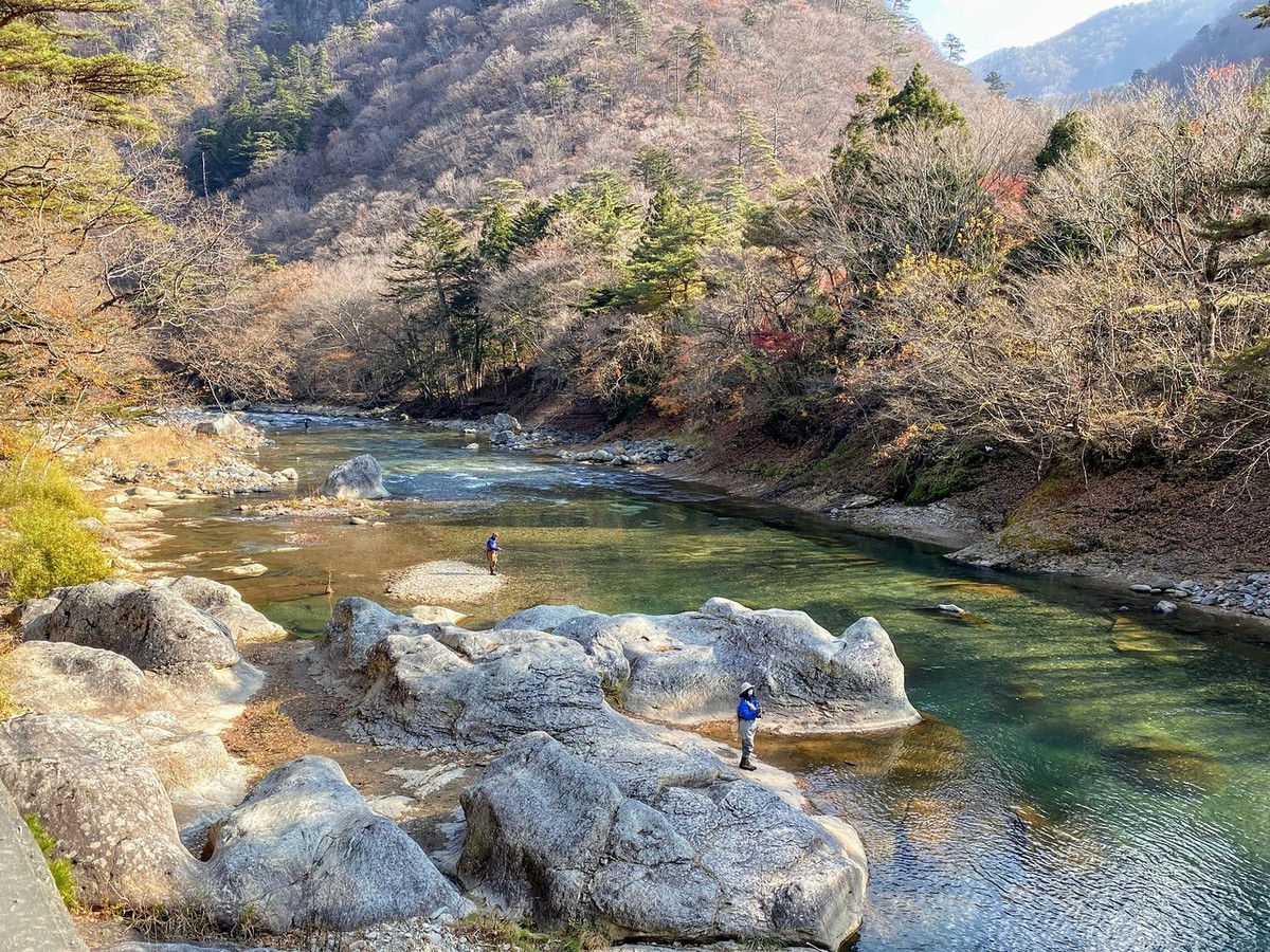 f:id:hiboma:20211120122232j:plain