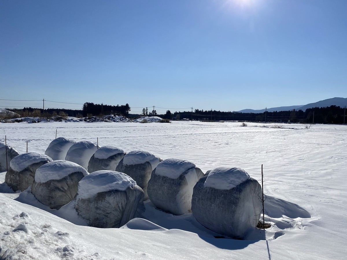 f:id:hiboma:20220108133912j:plain