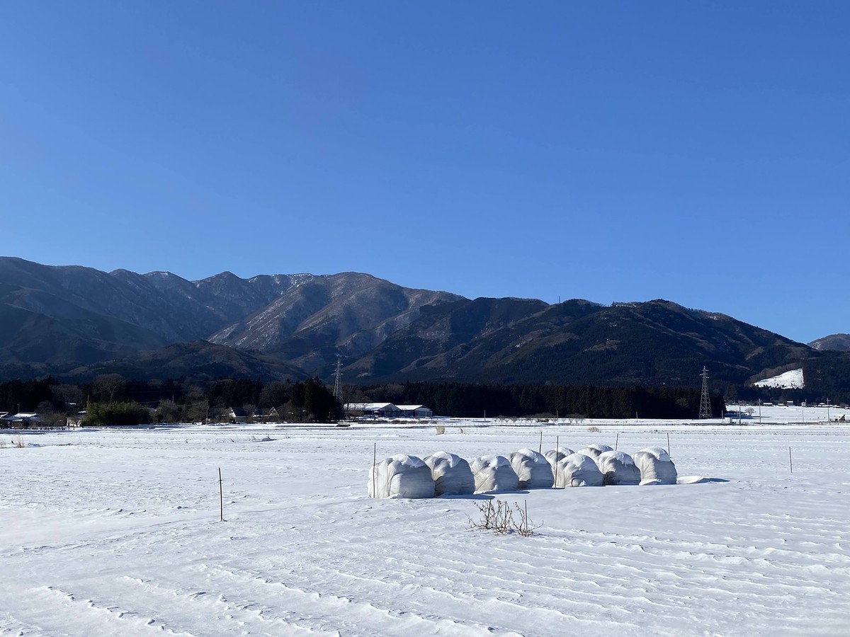 f:id:hiboma:20220108134141j:plain