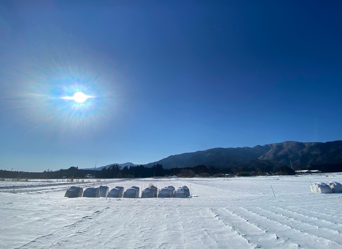 f:id:hiboma:20220108134157j:plain