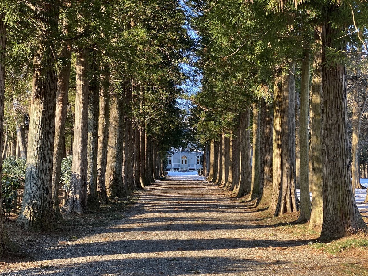 f:id:hiboma:20220108150919j:plain