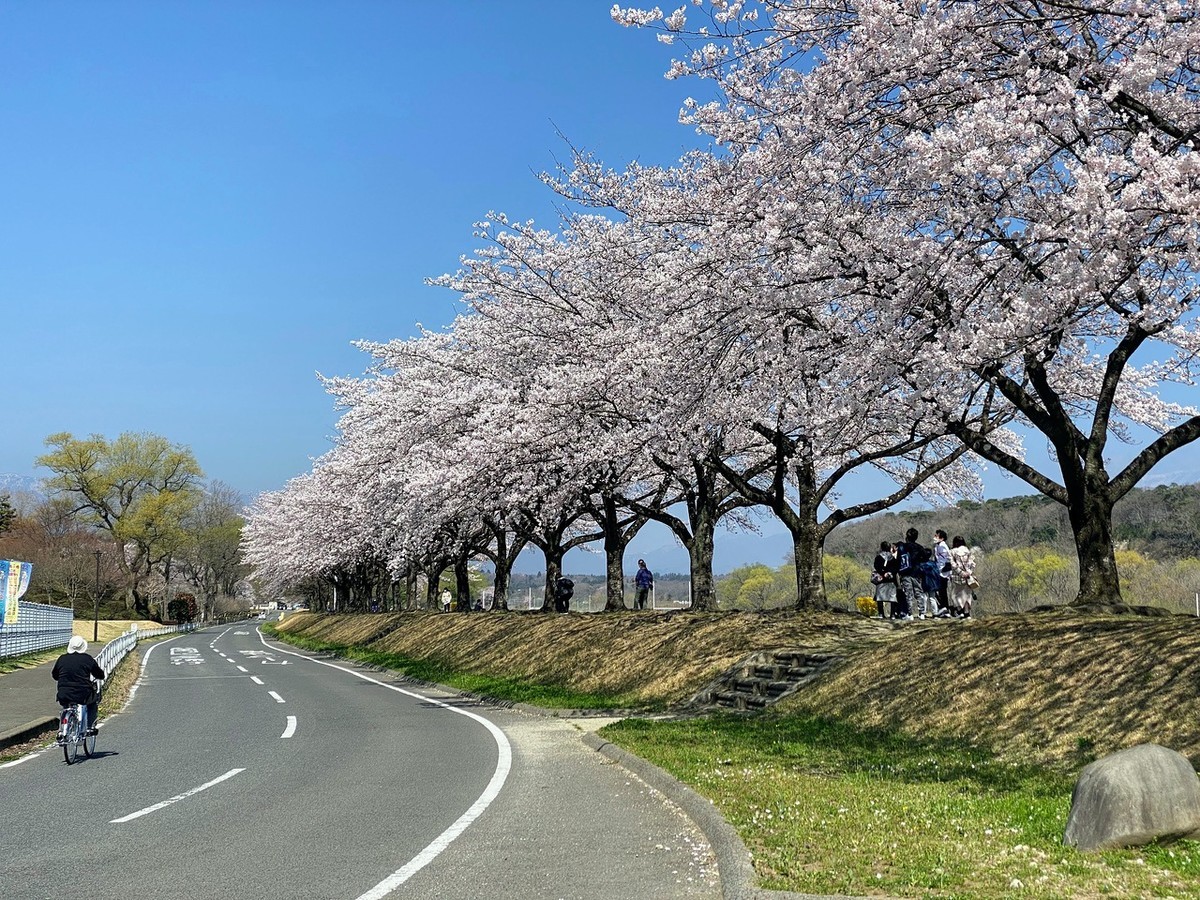 f:id:hiboma:20220409093413j:plain