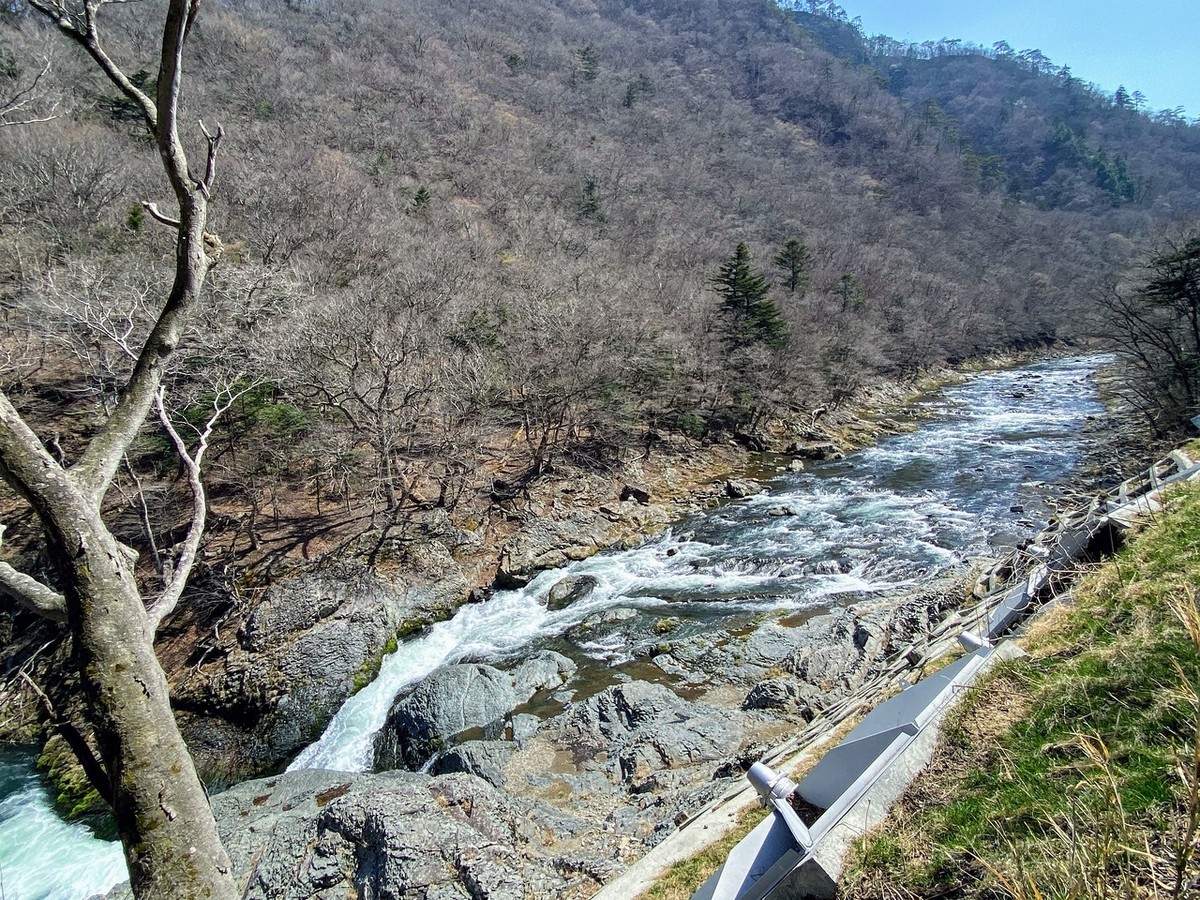 f:id:hiboma:20220409130525j:plain