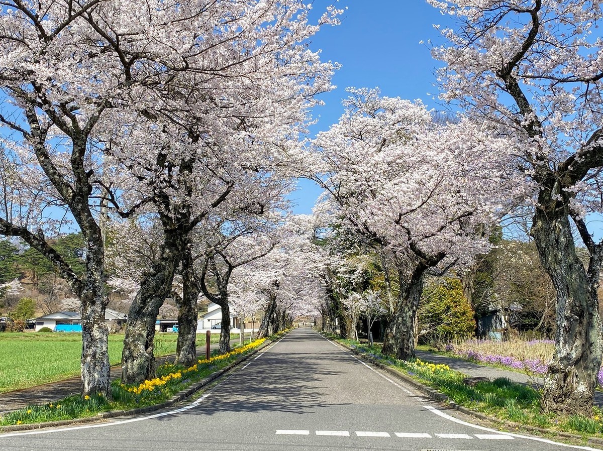 f:id:hiboma:20220409135343j:plain