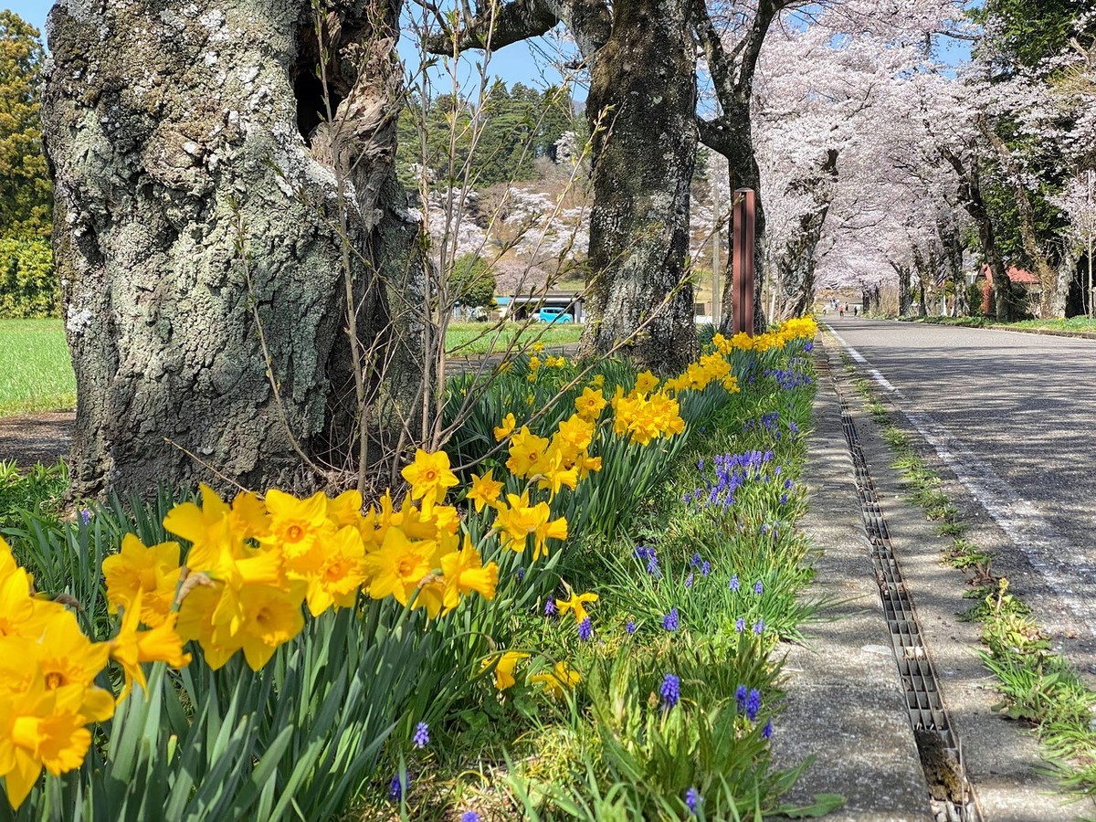 f:id:hiboma:20220409135420j:plain