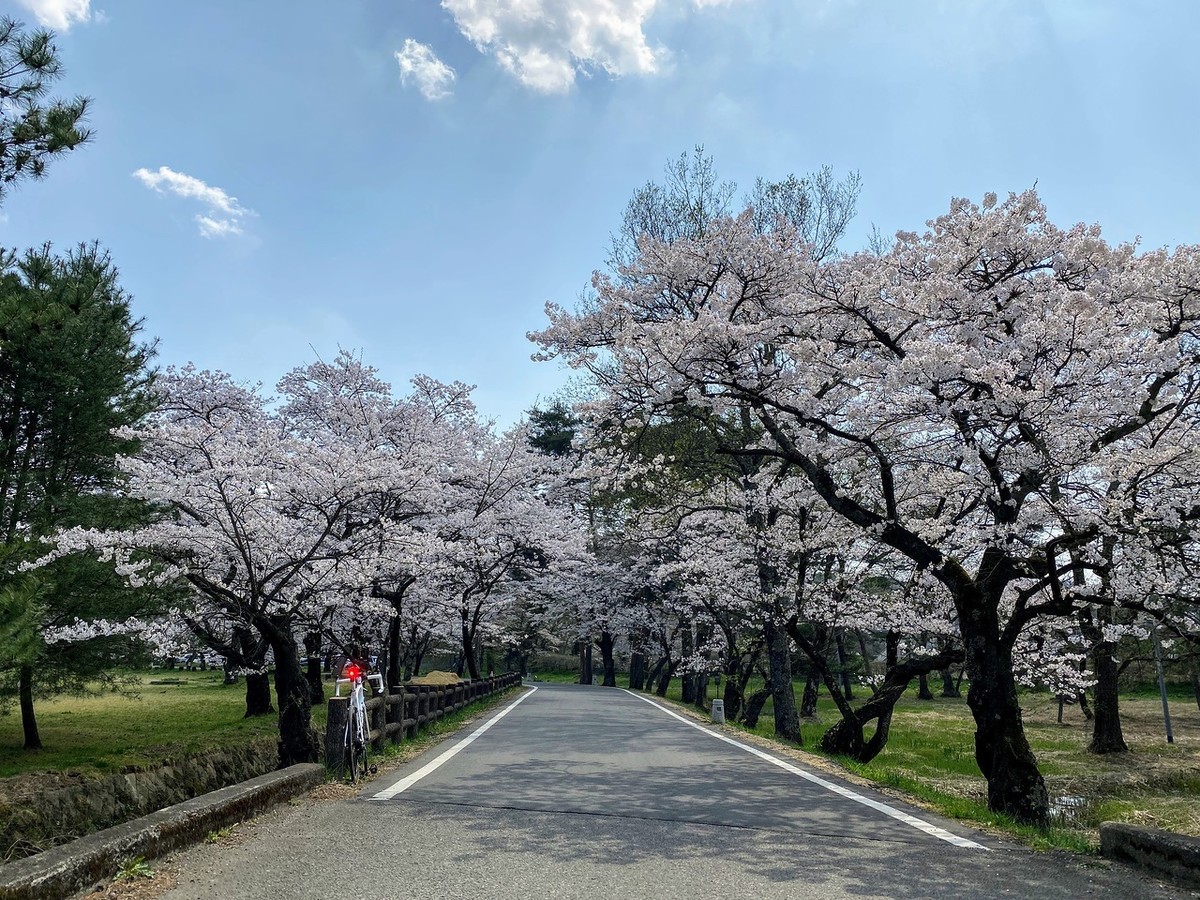 f:id:hiboma:20220412124758j:plain