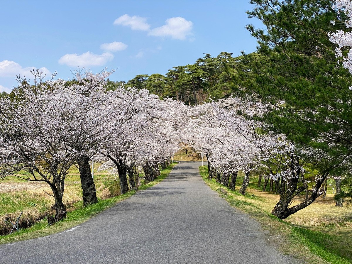 f:id:hiboma:20220412124824j:plain