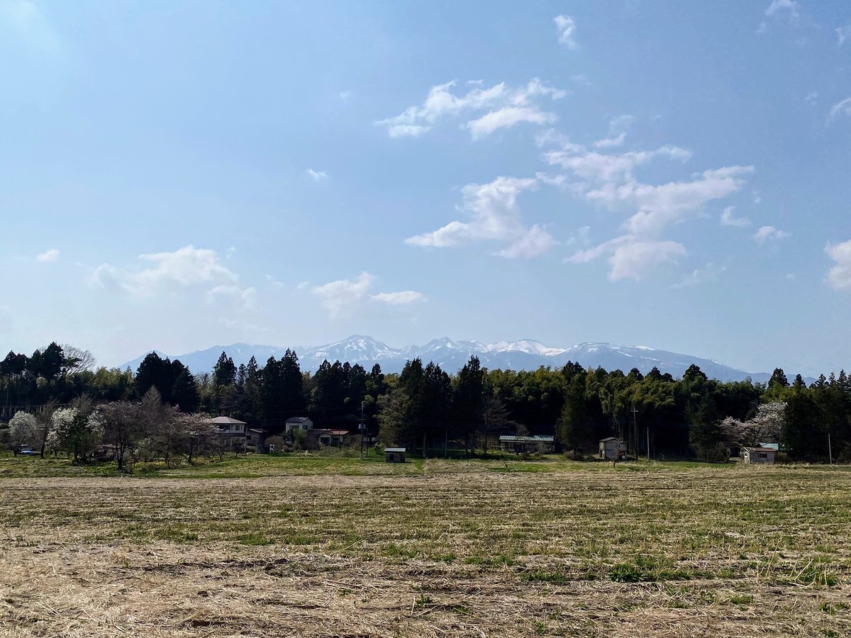 f:id:hiboma:20220412135453j:plain