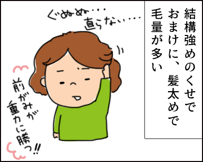 f:id:hiccyakameccyaka:20170607140551p:plain f:id:hiccyakameccyaka:20170607140551p:plain
